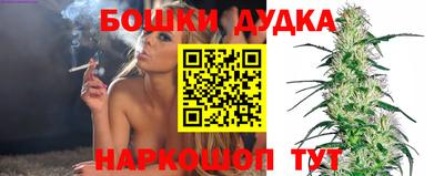 наркотики Новодвинск